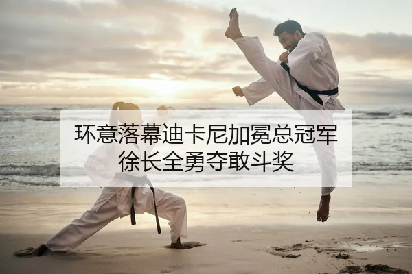 环意落幕迪卡尼加冕总冠军 徐长全勇夺敢斗奖